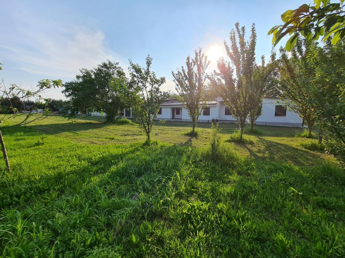 Agriturismo Ca Novak Venezia Спинея Экстерьер фото